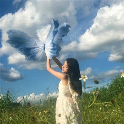 廿载风流梦